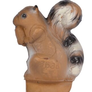 Franzbogen Eichhörnchen