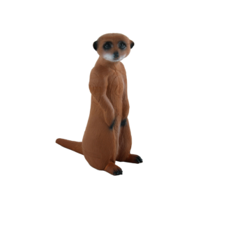Longlife Erdmännchen, stehend