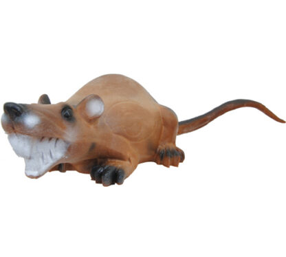 Longlife liegende Ratte