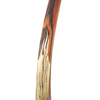BEIER Tigris - 60 Zoll - Recurvebogen - 20-55 lbs – Bild 4
