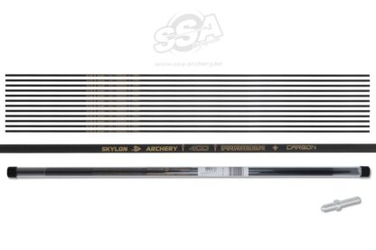 Skylon "Paragon" (±.0015) - (.125") Carbonschaft (12 Stück)