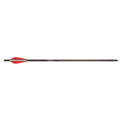 Barnett Bolt Carbon Headhunter 20" (5 Stk)